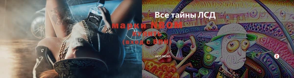 ешки Пересвет