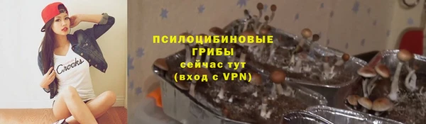 ешки Пересвет