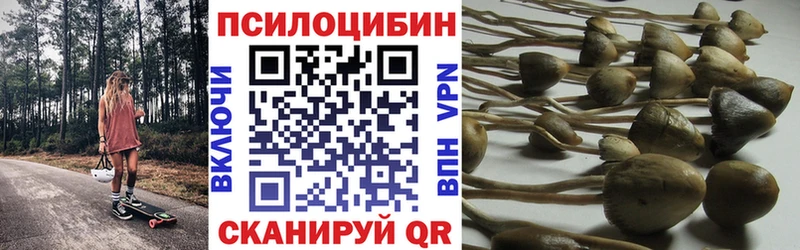 Галлюциногенные грибы MAGIC MUSHROOMS  купить наркотик  Гусиноозёрск 